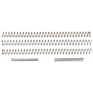 Picture of Nighthawk Custom GOVT. MODEL SPRING KIT SP0401