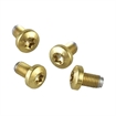Picture of 1911 TiN-COATED TORX & ALLEN HEAD GRIP SCREWS 080833004 -