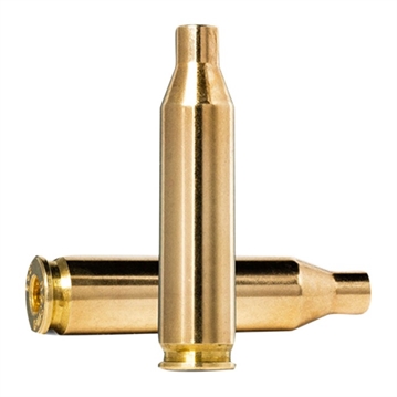 Picture of 243 WINCHESTER BRASS CASE 749007041