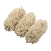 Picture of 37/40MM DOUBLE-UP BRUSH & MOP 084424042 -