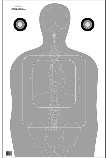 Picture of Action Target Qualification Silhouette/Vitals Paper 23" x 35" Gray/White 100 Per Box FTQ15ANTAV2100