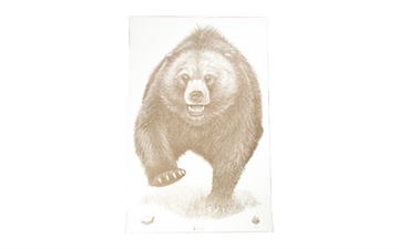 Picture of Action Target Alaska State Parks Bear Target, 23"x35", 100 Per Box ASP-BB-100
