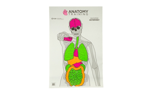 Picture of Action Target Entertainment Training Silhouette/Vitals Paper Target 23" x 35" 100 Per Box GSANATOMY100