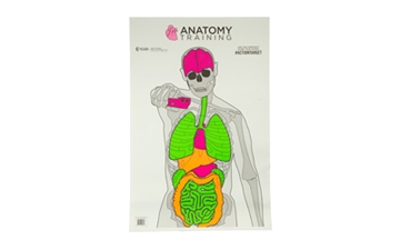 Show details for Action Target Entertainment Training Silhouette/Vitals Paper Target 23" x 35" 100 Per Box GSANATOMY100 Picture of Action Target Entertainment Training Silhouette/Vitals Paper Target 23" x 35" 100 Per Box GSANATOMY100