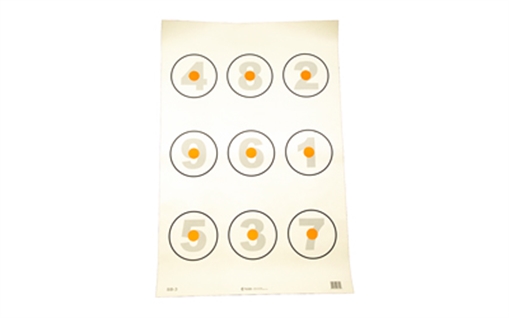 Picture of ACTION TGT BASIC SKILL CIR 100PK SB-3-100