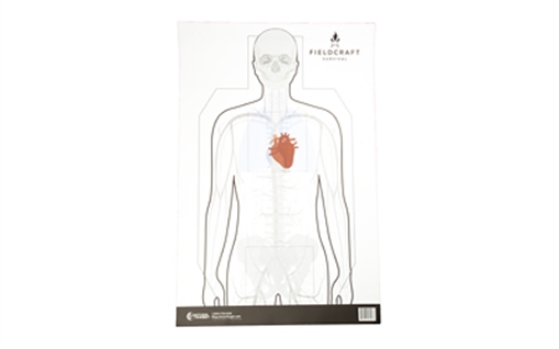 Picture of Action Target Fieldcraft Survival Double Sided Training Target, Multi Color, 23"x35", 100 Per Box FLDC-P-100