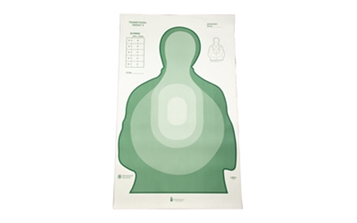 Picture of ACTION TGT TSR-II SILHO GRN 100PK LTR-II GREEN-100