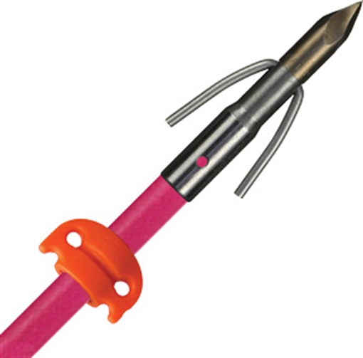 Picture of AMS BOWFISHING FIBERGLASS ARROW CHAOS POINT PINK W/SS A203-PNK