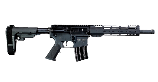 Picture of Alexander Arms Highlander 50 Beowulf 7+1 12" Black Fluted Threaded Barrel, Black Anodized Picatinny Rail Receiver, SB Tactical SBA3 Brace, Black Ergo Grip PHI50ST