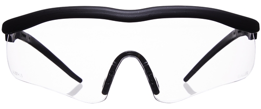 Picture of ALLEN GLASSES Guardian 2384