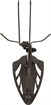 Picture of Allen EZ Mount Trophy Skull Hanger Brown 7221