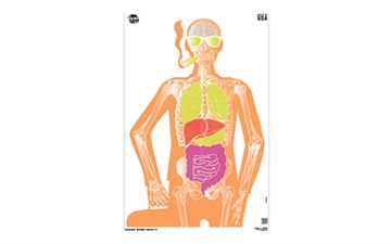 Picture of Allen Company Makin Bones About It EZ Aim, Paper Targets, 3 Pack, 23"X35", Assorted Colors 15656