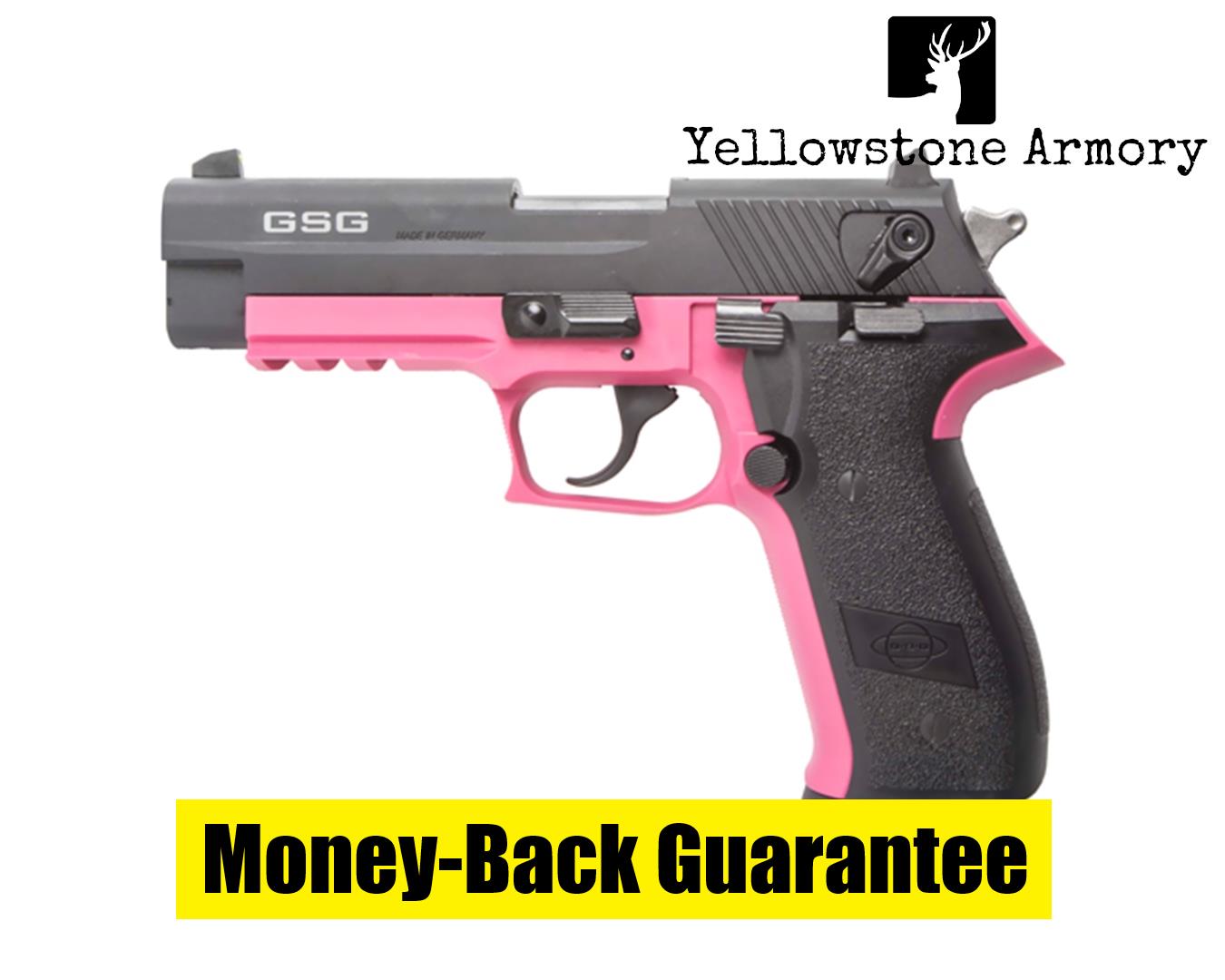 AMERICAN TACTICAL IMPORTS FIREFLY 22LR 4PNK NTB 10RD GERG2210FFP-img-0