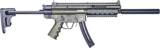 Picture of GSG GSG-16 Full Size 22 LR 22+1 16.25" Black Green Polymer Receiver Black Collapsible w/Storage Compartment Stock Right Hand GSG219GERGGSG1622G