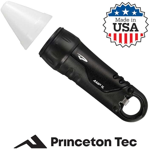 Picture of PRINCETON TEC Amp FL 100 LMN BK A90LBC-BK 795626022948