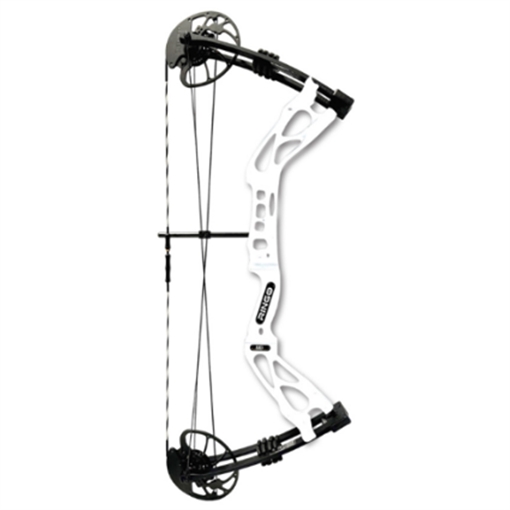 Picture of AMS AMS RINGO Bowfishing Bow RH B900-RH