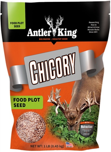 Picture of ANTLER KING KING CHICORY 1# BAG PERENNIAL 1/4 ACRE AKC1