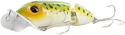 Picture of ARBOGAST JNTD JITRBUG 2.5" 3/8-FROG/WHT BELLY G620-6