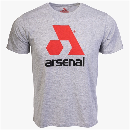 Picture of Arsenal Gray Cotton Relaxed Fit Logo T-Shirt ARS-T3-GR-3