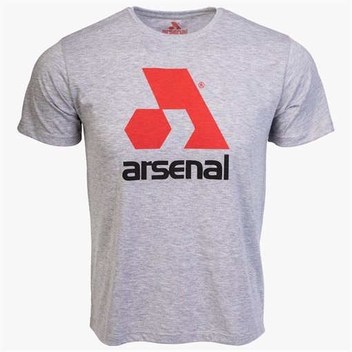 Picture of Arsenal Large Gray Cotton Relaxed Fit Logo T-Shirt ARS-T3-GR-L