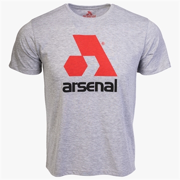 Picture of Arsenal Large Gray Cotton Relaxed Fit Logo T-Shirt ARS-T3-GR-L