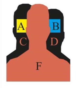 Picture of AMERICAN TACTICAL IMPORTS ADVANCE SILHOUETTE TARGET ROMSCTCH2F5Z