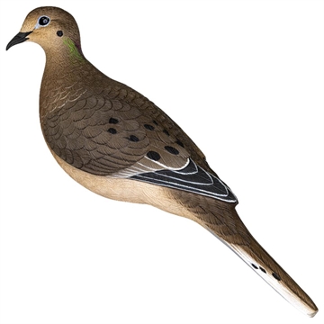 Picture of Avian X Full Body Dove Multi-Color 6 Pack AVX-DOVE-6PK