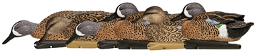Picture of Avian X AVX Topflight Blue-Winged Floating Teal Decoys Multi-Colored-6 Pack AVX AVX8080