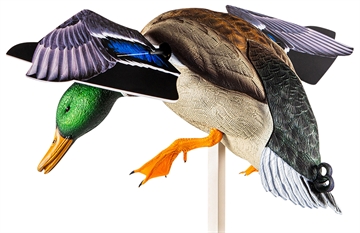 Picture of Avian X PowerFlight Mallard Spinning Wing Duck Decoy Multi-Color Dual Mode Remote AVXAVXDP101