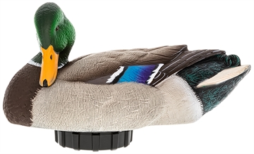 Picture of Avian X Power Shaker Mallard Drake Preener Duck Decoy AVXPSHMDPR