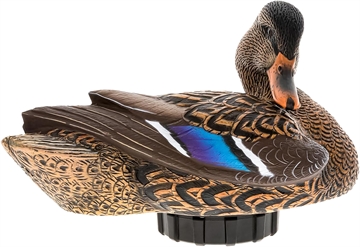 Picture of Avian X Power Shaker Motion Decoy Mallard Hen Multi-Color AVX-PSH-MHPR