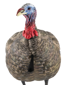 Picture of Avian X AVX LCD Quarter-Strut Jake Turkey Species Multi Color Dura-Rubber AVX AVX8003