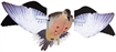 Picture of Avian X PowerFlight Spinning Wing Dove Multi-Color AVXDP102
