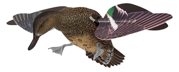 Picture of Avian X PowerFlight Hen Green-Winged Teal spinning wing decoy AVXPFLHT