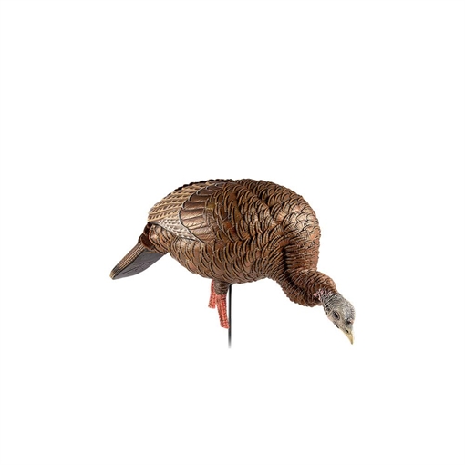 Picture of Avian X HDR Feeder Hen Turkey Species Multi-Color AVXAVX8107