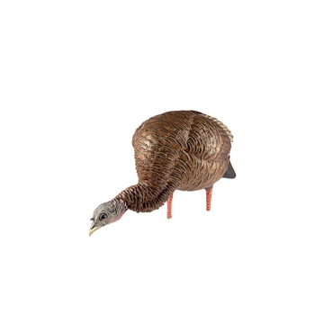 Picture of Avian X HDR Feeder Hen Turkey Species Multi-Color AVXAVX8107