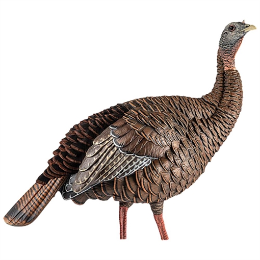 Picture of Avian X HDR Hen Turkey Species Multi Color AVXAVX8106