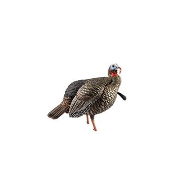 Picture of Avian X HDR Jake Turkey Decoy Multi Color AVXAVX8105