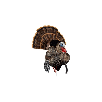 Picture of Avian X HDR Strutter Turkey Species Multi Color AVXAVX8108
