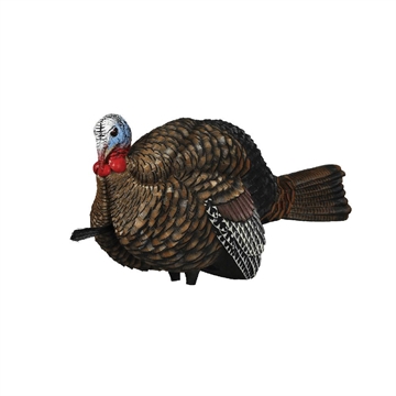 Picture of Avian X AVX LCD Half-Strut Jake Turkey Species Multi Color Dura-Rubber AVX AVX8012