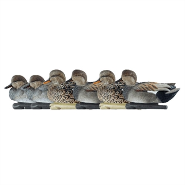 Picture of Avian-X AvianX Top Flight Duck Decoys Gadwall 6 pk. AVX-AVX8085