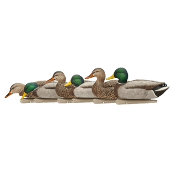 Picture of Avian X AVX Topflight Fusion Mallards Multi-Color -6 Pack AVX AVX8076