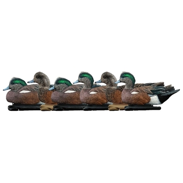 Picture of Avian-X AvianX Top Flight Duck Decoys Wigeon 6 pk. AVX-AVX8084