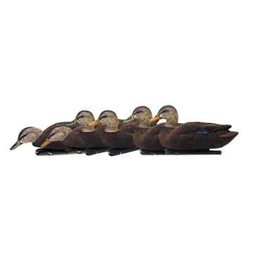Picture of Avian-X AvianX Top Flight Duck Decoys Flocked Black Duck 6 pk. AVX-AVX8075