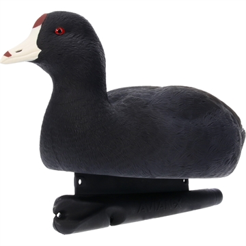Picture of Avian-X Avian X Topflight Floating Decoy Coot AVX-COOT