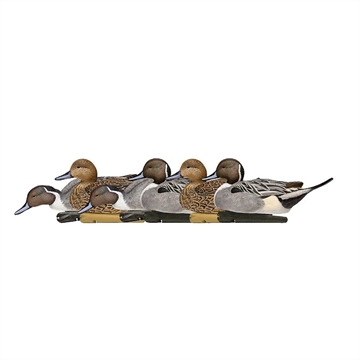 Picture of Avian-X AvianX Top Flight Duck Decoys Pintail 6 pk. AVX-AVX8082