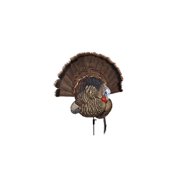 Picture of Avian X Trophy Tom Turkey Species Multi-Color *No Fan AVXAVX8021