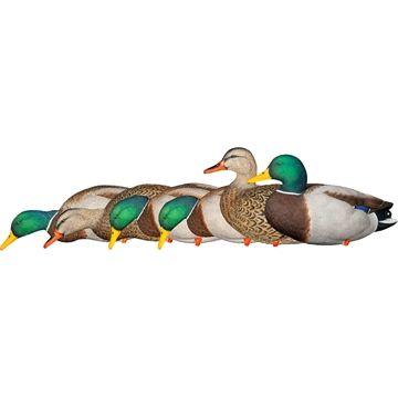 Picture of Avian-X AvianX AXP Fusion Duck Decoys Mallards 6 pk. AVX-AVX8061