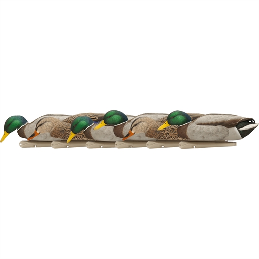 Picture of Avian-X AvianX Top Flight Duck Decoys Backwater Mallards 6 pk. AVX-AVX8070
