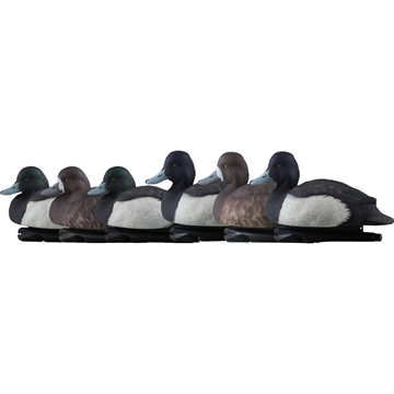 Picture of Avian-X AvianX Top Flight Duck Decoys Blue Bills 6 pk. AVX-AVX8088